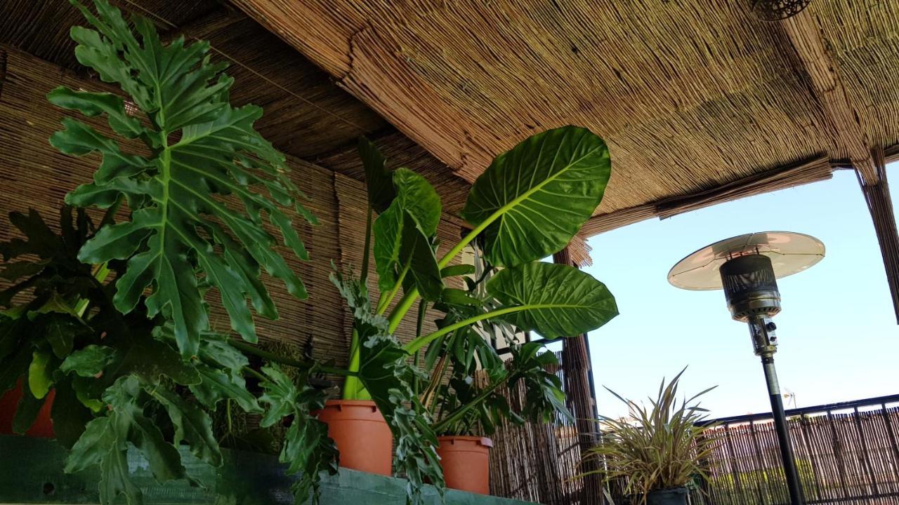 Posada Alpujarra Sol Orgiva Εξωτερικό φωτογραφία