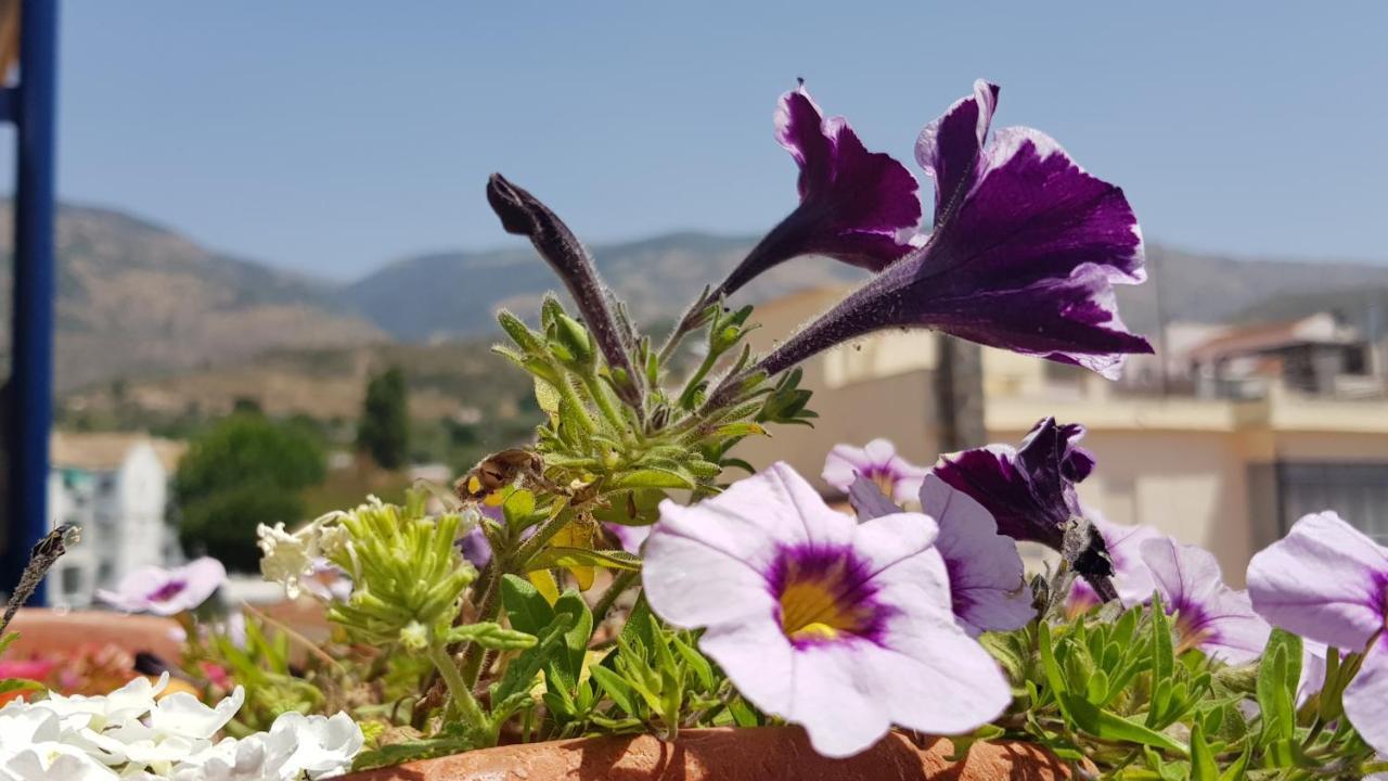 Posada Alpujarra Sol Orgiva Εξωτερικό φωτογραφία