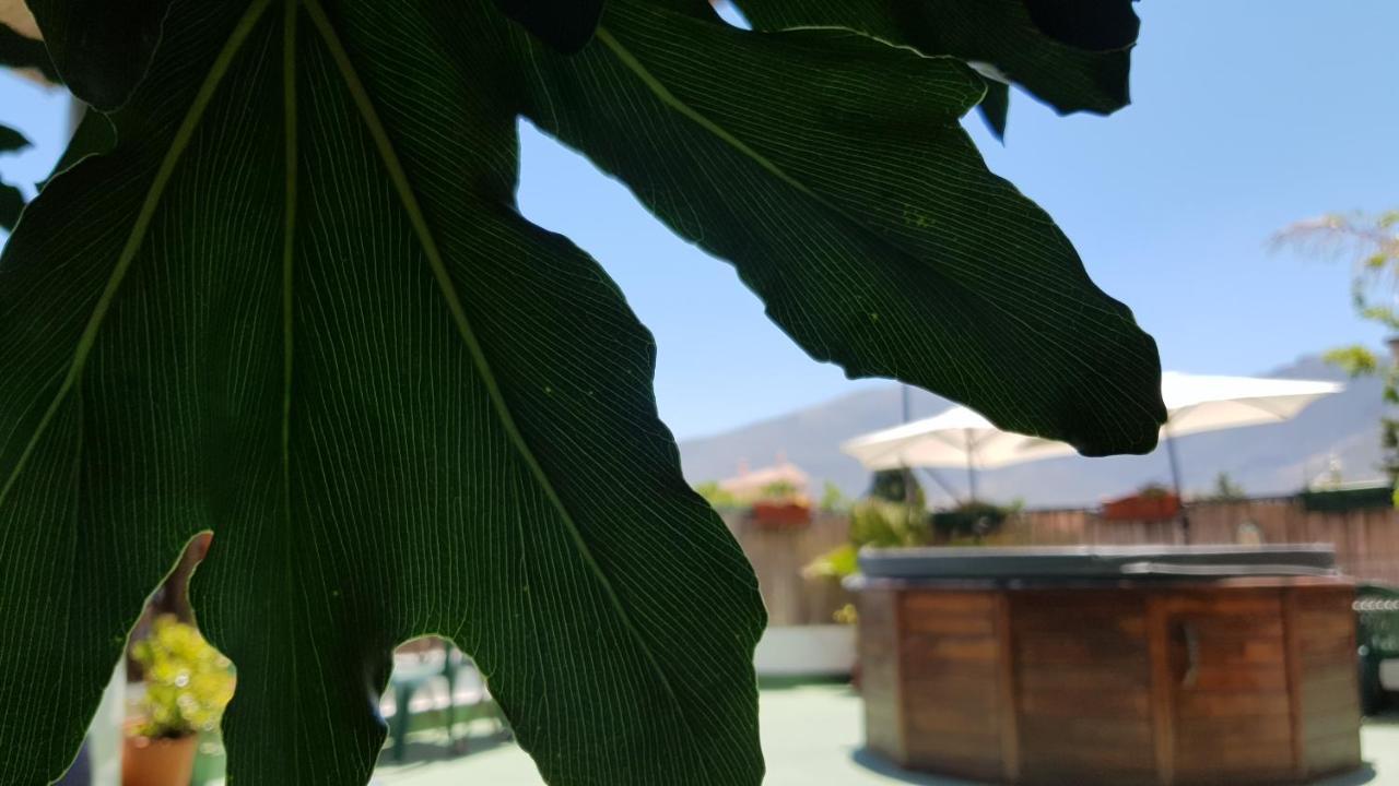 Posada Alpujarra Sol Orgiva Εξωτερικό φωτογραφία